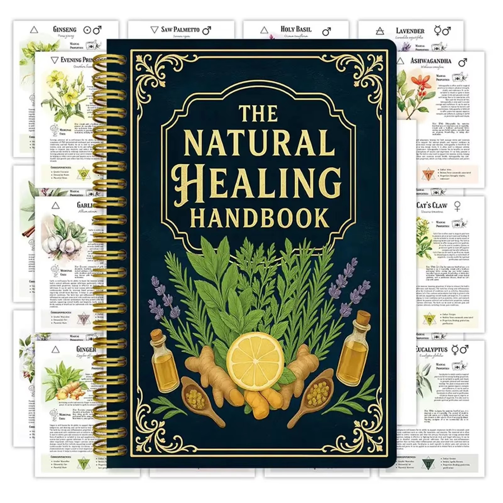 Health & Wellness Photos - Healing Handbook By Luna Filby English