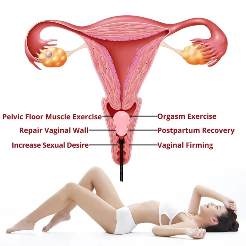 30 X 20 MM Massage Egg Natural - Xbody Health & Wellness のレビューと価格