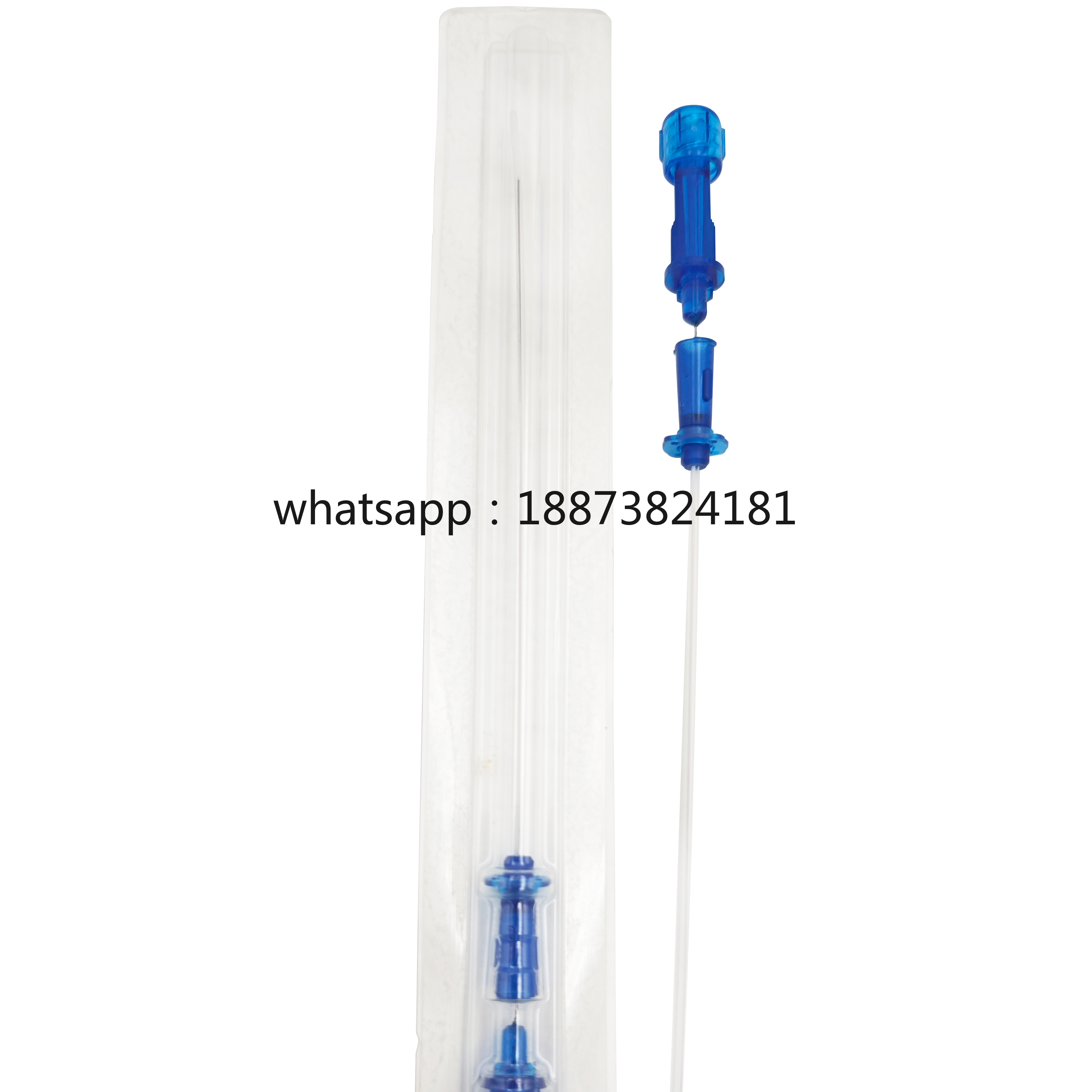 Individually Packaged Disposab - Xbody Health & Wellness のレビューと価格