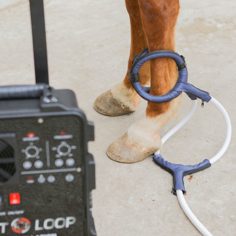 PMST LOOP PEMF Therapy Horse E - Health Wellness Massage のレビューと価格