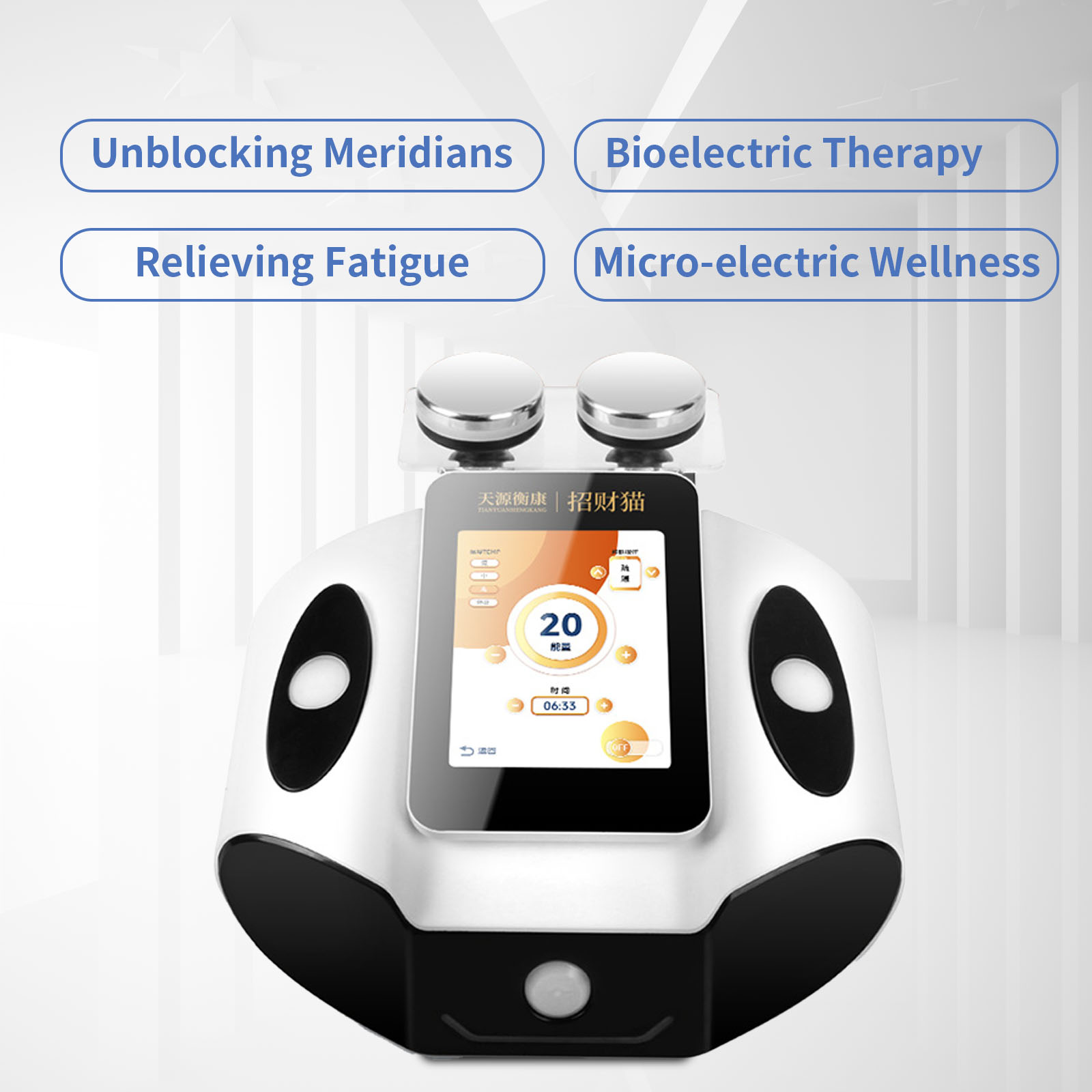 Bioelectric Meridian Meter Hea - Health Wellness Massage のレビューと価格