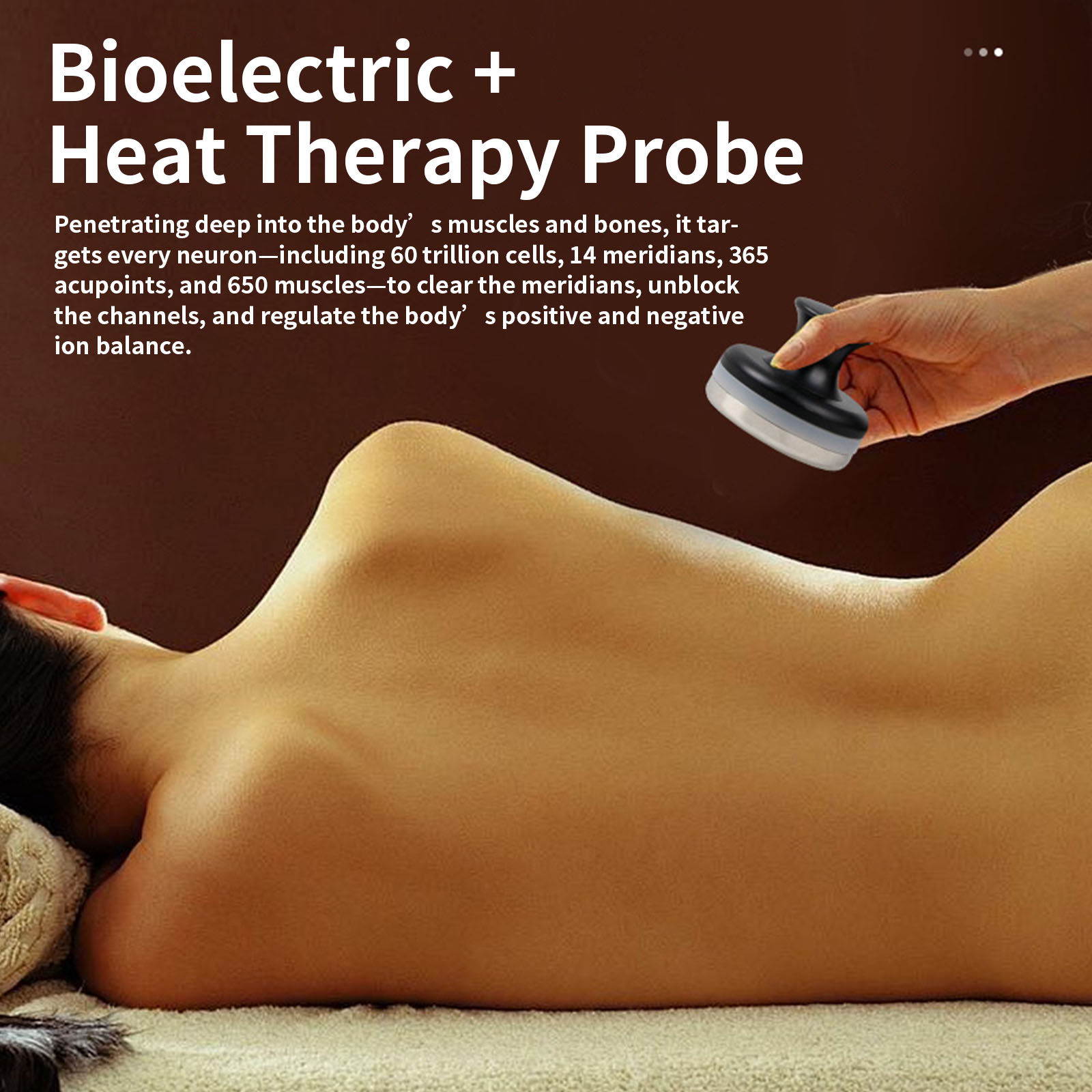 Bioelectric Meridian Meter Hea - Health Wellness Massage のレビューと価格