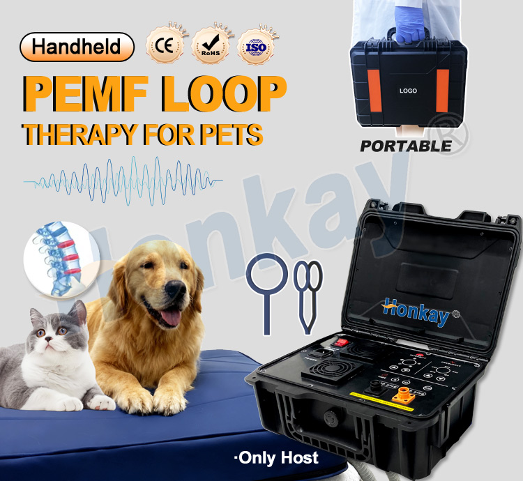 Personal Pet Care PEMF Device  - Health Wellness Massage のレビューと価格