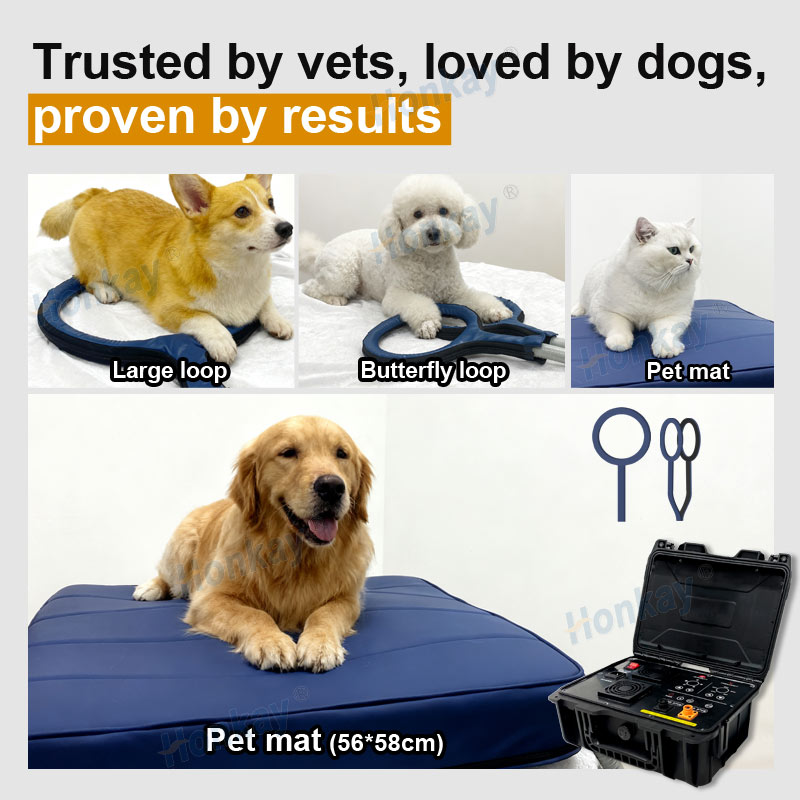 Personal Pet Care PEMF Device  - Health Wellness Massage のレビューと価格