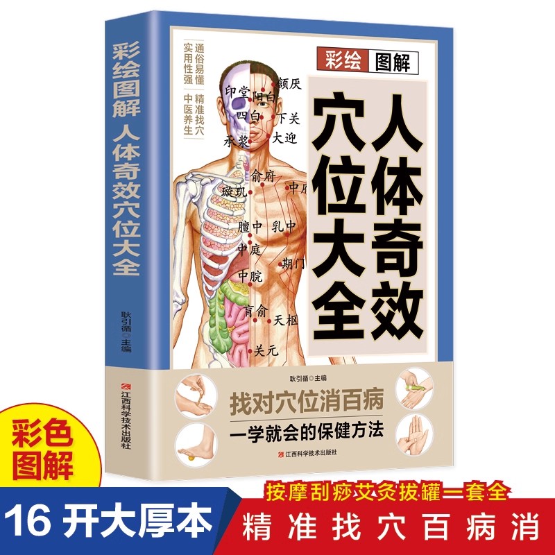 Complete Guide to Acupoint Mas - Health & Wellness Photos のレビューと価格