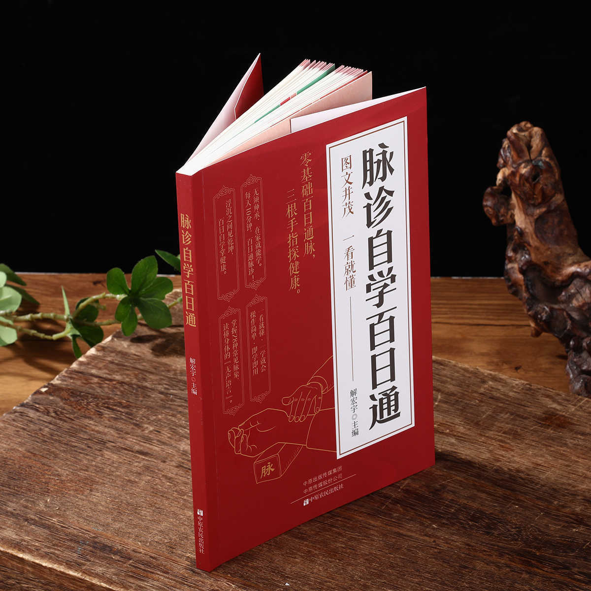 Pulse Diagnosis Self Study Hun - Health & Wellness Photos のレビューと価格